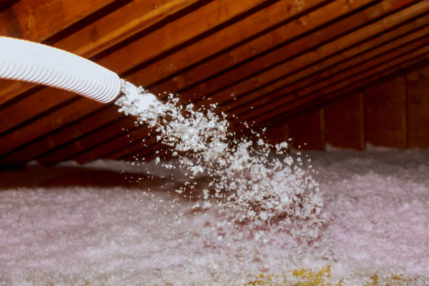 Best Insulation Installation Services in Burley, ID